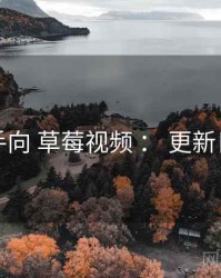 新手向 草莓视频 ： 更新日历