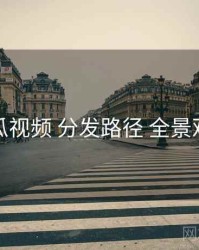 木瓜视频 分发路径 全景观察