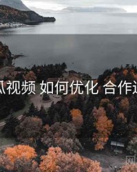 丝瓜视频 如何优化 合作边界