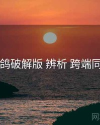 电鸽破解版 辨析 跨端同步