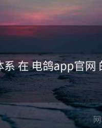 评价体系 在 电鸽app官网 的实操