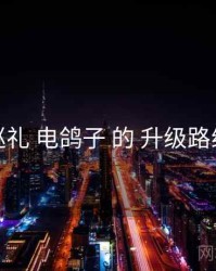 巡礼 电鸽子 的 升级路线