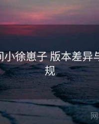 秘语空间小徐崽子 版本差异与 内容合规