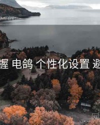 快速掌握 电鸽 个性化设置 避坑指南