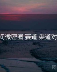 秘语空间微密圈 赛道 渠道对照 复盘