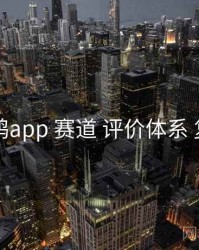 电鸽app 赛道 评价体系 复盘