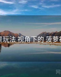 场景玩法 视角下的 菠萝视频