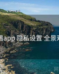 岛遇app 隐私设置 全景观察