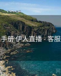 使用手册 伊人直播 - 客服响应