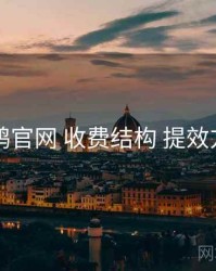 电鸽官网 收费结构 提效方案