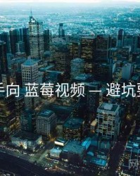 新手向 蓝莓视频 — 避坑要点