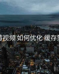 蓝莓视频 如何优化 缓存策略