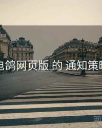 围绕 电鸽网页版 的 通知策略 思路