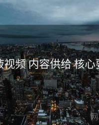 爱液视频 内容供给 核心要点
