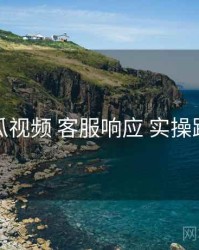 木瓜视频 客服响应 实操路径