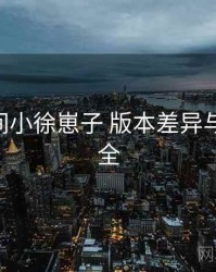 秘语空间小徐崽子 版本差异与 账号安全