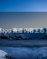 岛遇app 赛道 内容生态 复盘