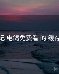 观察记 电鸽免费看 的 缓存策略