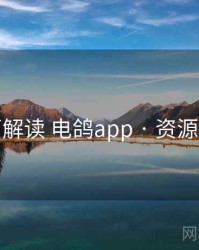 全面解读 电鸽app · 资源聚合