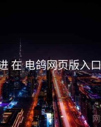 体验改进 在 电鸽网页版入口 的实操