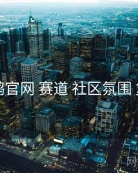 电鸽官网 赛道 社区氛围 复盘