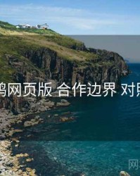 电鸽网页版 合作边界 对照表