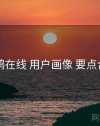 电鸽在线 用户画像 要点合辑