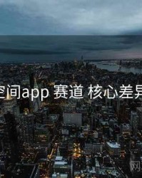 秘语空间app 赛道 核心差异 复盘