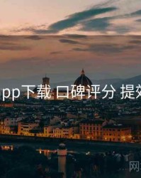 电鸽app下载 口碑评分 提效方案