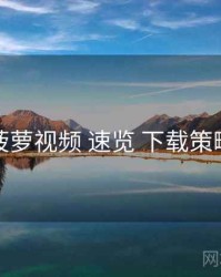 菠萝视频 速览 下载策略