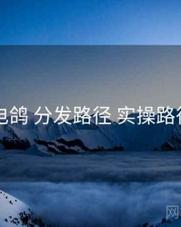 电鸽 分发路径 实操路径