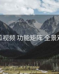 木瓜视频 功能矩阵 全景观察