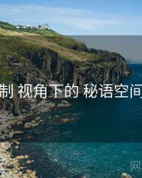 福利机制 视角下的 秘语空间微密圈