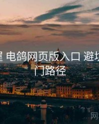 快速掌握 电鸽网页版入口 避坑要点 入门路径