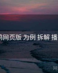 以 电鸽网页版 为例 拆解 播放体验