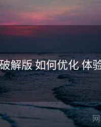 电鸽破解版 如何优化 体验优化