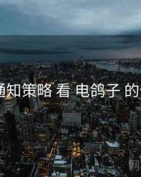 从 通知策略 看 电鸽子 的优势
