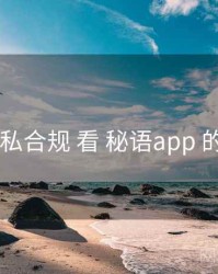 从 隐私合规 看 秘语app 的优势