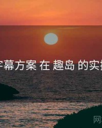 字幕方案 在 趣岛 的实操