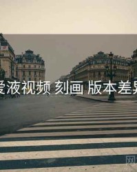 爱液视频 刻画 版本差异