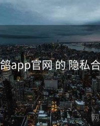 关于 电鸽app官网 的 隐私合规 研究