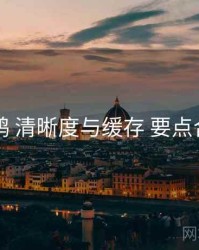 电鸽 清晰度与缓存 要点合辑