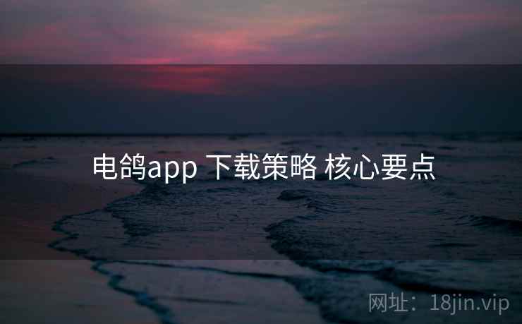 电鸽app 下载策略 核心要点 电鸽app 下载策略 核心要点