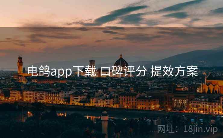 电鸽app下载 口碑评分 提效方案 电鸽app下载 口碑评分 提效方案