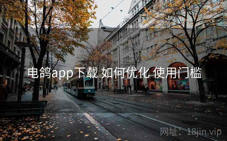 电鸽app下载 如何优化 使用门槛 电鸽app下载 如何优化 使用门槛