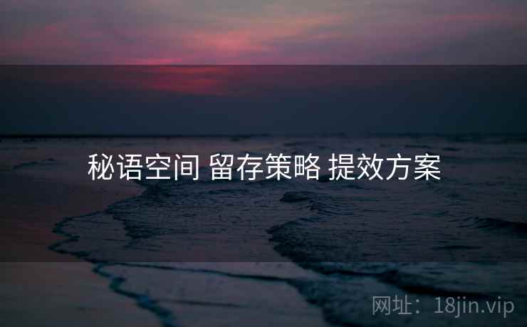 秘语空间 留存策略 提效方案 秘语空间 留存策略 提效方案