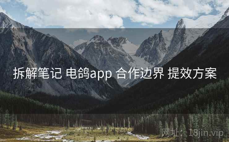 拆解笔记 电鸽app 合作边界 提效方案 拆解笔记 电鸽app 合作边界 提效方案