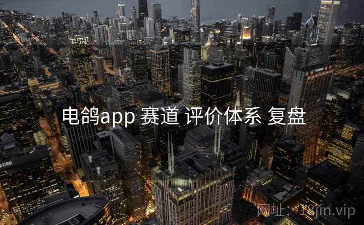 电鸽app 赛道 评价体系 复盘 电鸽app 赛道 评价体系 复盘