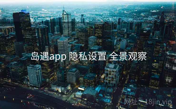 岛遇app 隐私设置 全景观察 岛遇app 隐私设置 全景观察