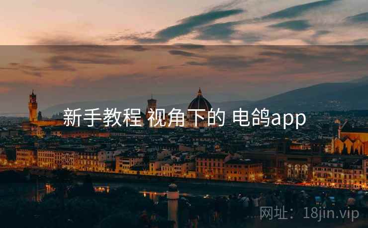 新手教程 视角下的 电鸽app 新手教程 视角下的 电鸽app